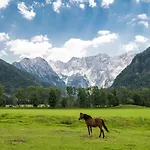 Boutique Planinka Zgornje Jezersko