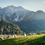 Boutique Planinka Zgornje Jezersko