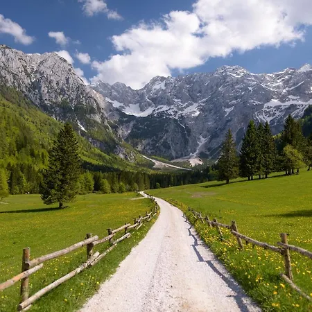 ホテル Boutique Planinka 5*