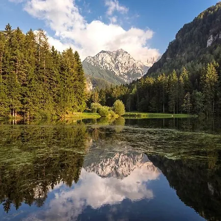 Hotel Boutique Planinka 5*