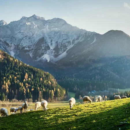 Boutique Planinka Zgornje Jezersko
