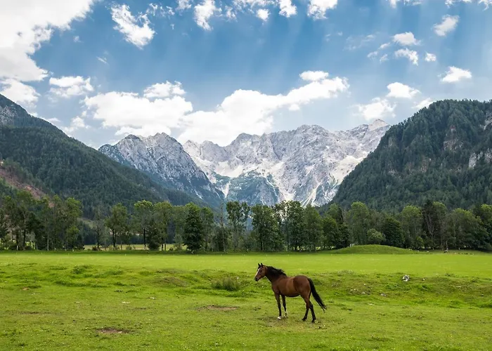 Boutique Planinka Zgornje Jezersko
