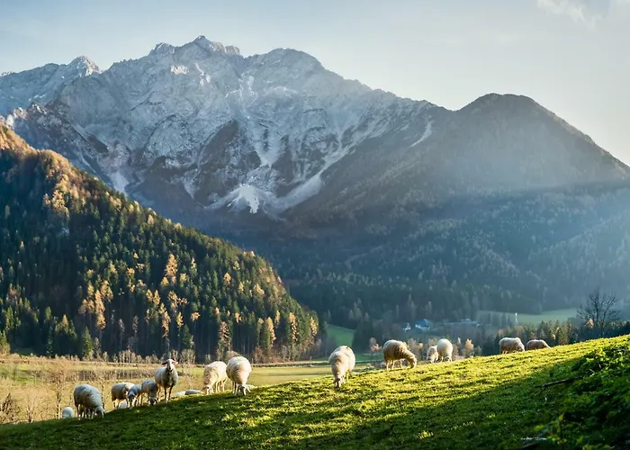 Boutique Planinka Zgornje Jezersko